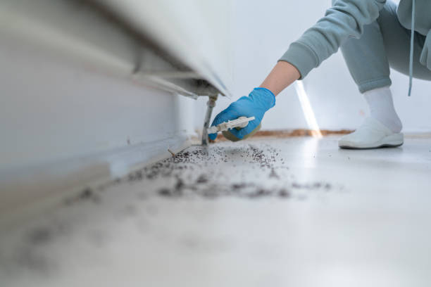 Best Commercial Pest Control Services  in Lavallette, NJ